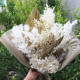 Wedding Decorative Flower Bouquet Eternal Roses Preserved Dried Flowers Bouquet for Valentine Gifts