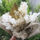 Wedding Decorative Flower Bouquet Eternal Roses Preserved Dried Flowers Bouquet for Valentine Gifts